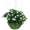 Gardman Usa Gardman Usa 14in. Sphagnum Moss Hanging Basket  R475 R475